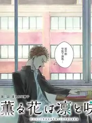 厨房风暴 美食综艺免费观看